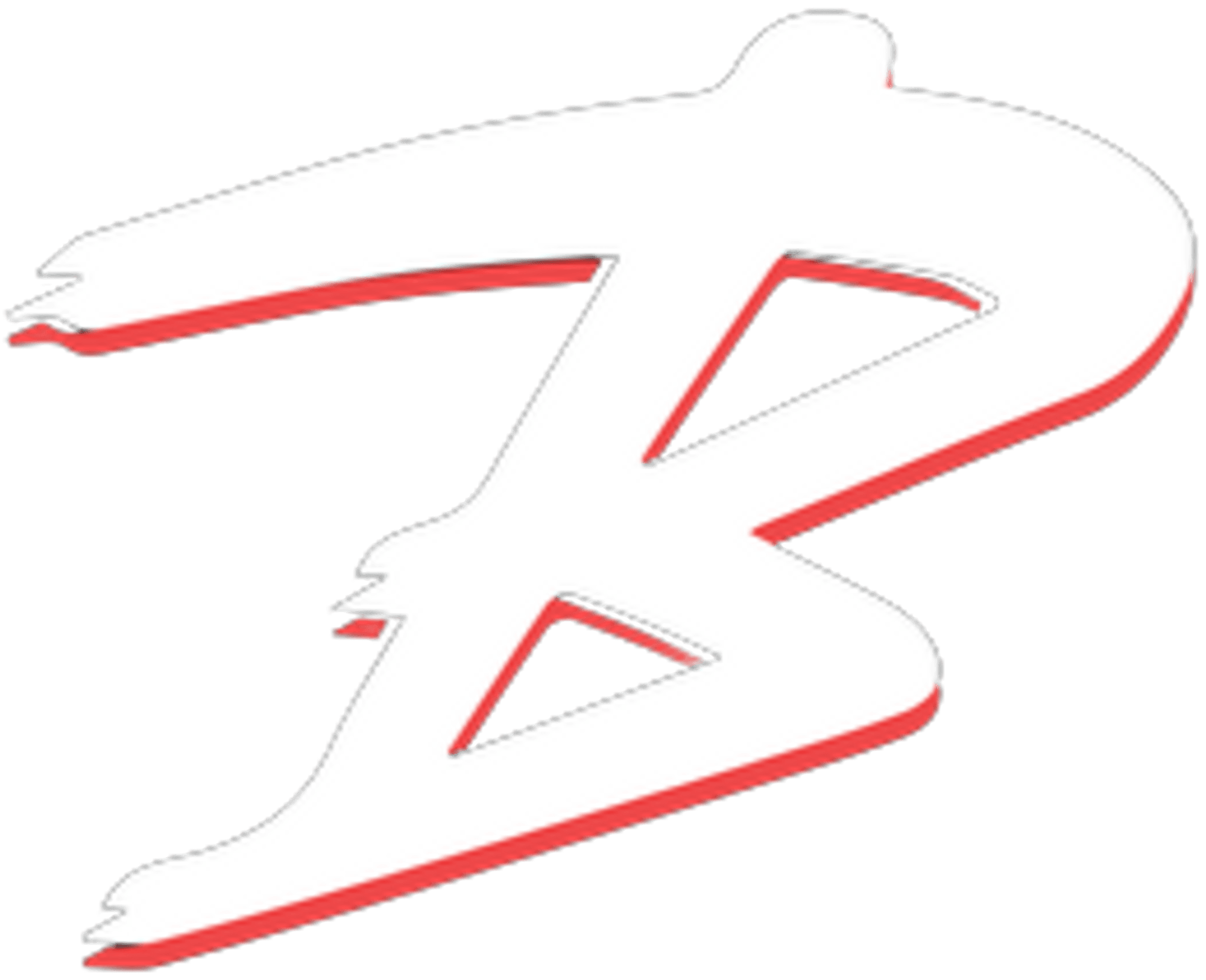 BullyBall Training | undefined Logo